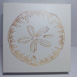 Coastal Breeze Shell Art Print Anne Tavoletti On Canvas ~ Sand Dollar